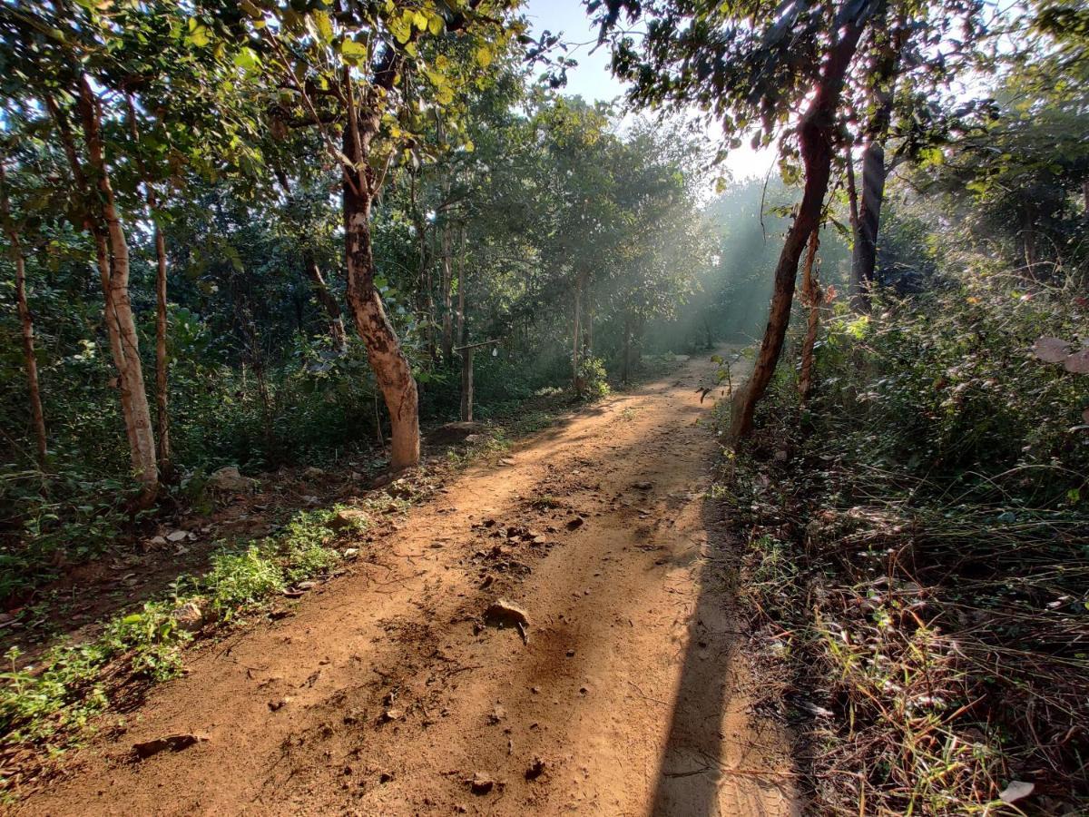 Surwahi Social Ecoestate Kānha المظهر الخارجي الصورة