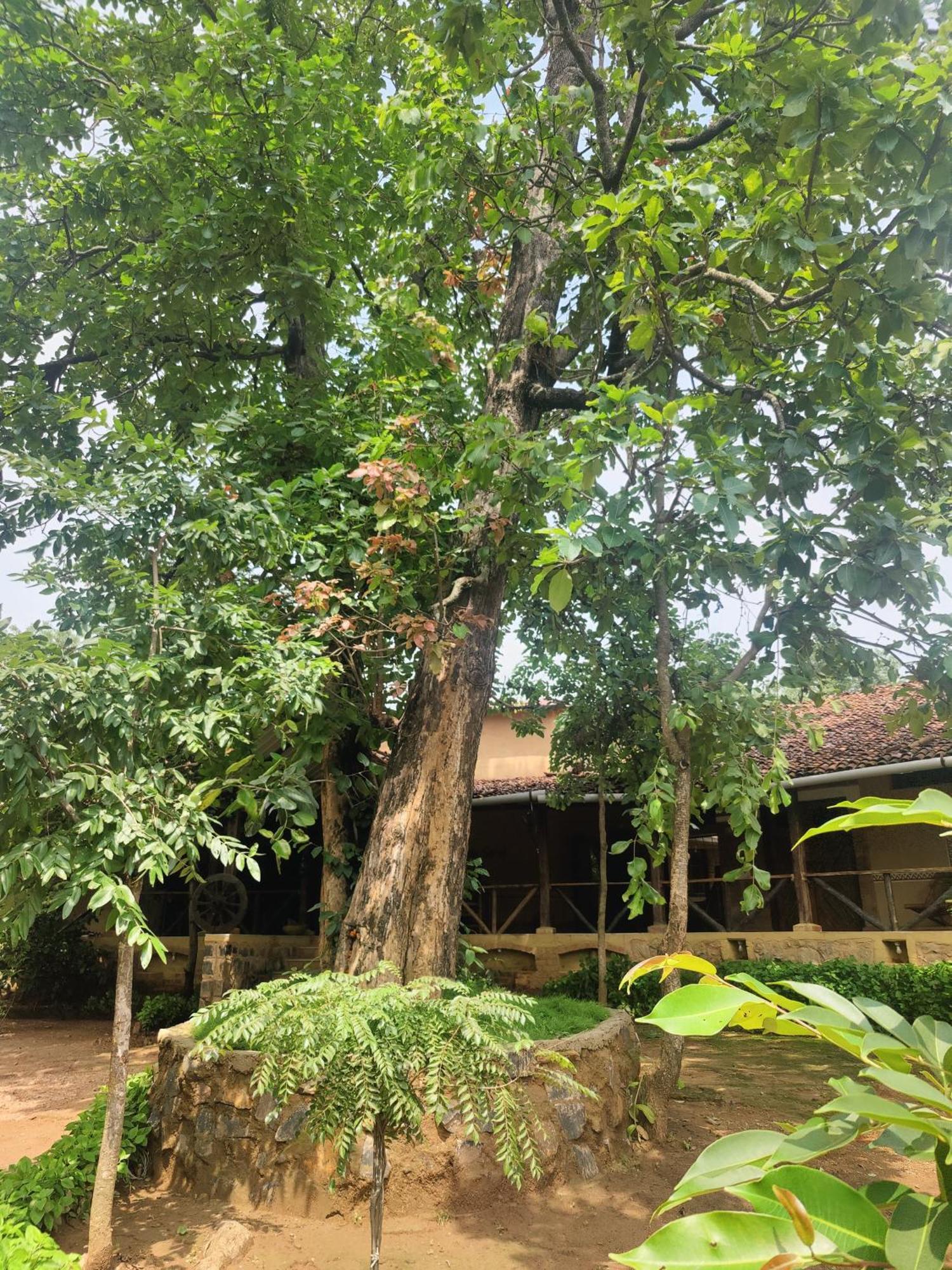 Surwahi Social Ecoestate Kānha المظهر الخارجي الصورة